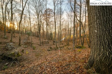 LV2 Old Laurel Ln, Elk Park, NC 28622 - photo 3