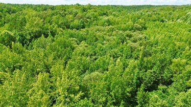 65 Sandy Point Rd, Camden, TN 38320 - photo 4