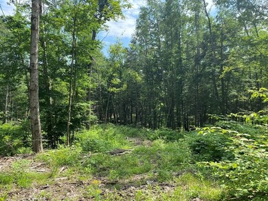 Lot 13 Howes Rd, Buckland, MA 01370 - photo 5