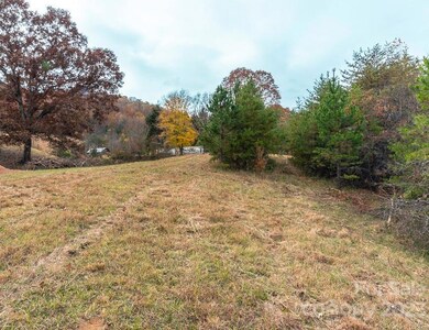 00000 Tweed Rd unit 1, Leicester, NC 28748 - photo 7