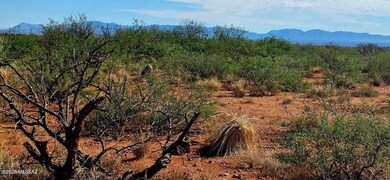 TBD 40 AC Ronald Reagan Pkwy, Whetstone, AZ 85616 - photo 6