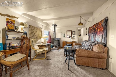 235 Whalen Ave, Cripple Creek, CO 80813 - photo 4