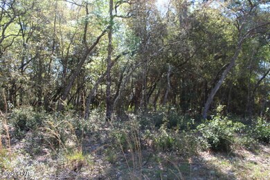 2702 W Forbes Place, Citrus Springs, FL 34434 - photo 7