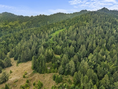 000 Williams Creek Rd, Ferndale, CA 95536 - photo 5