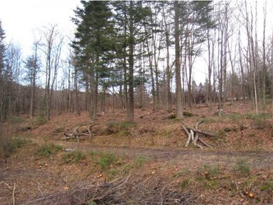 house site view nw