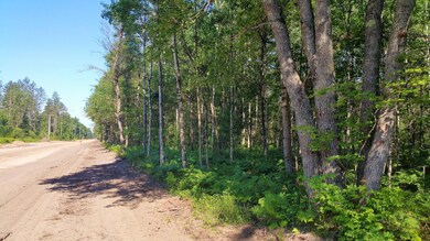 0 72nd St unit B 21020959, Idlewild, MI 49642 - photo 2