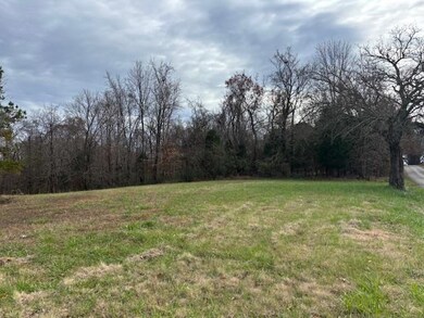 00 Bard Rd, Greenville, KY 42345 - photo 5