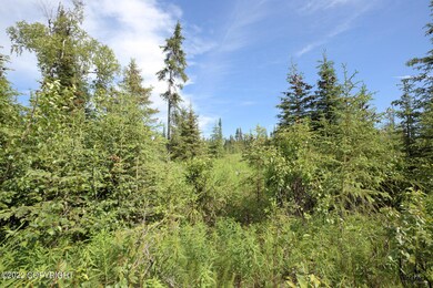 D24 Alaskan Wildwood Ranch(r), Nikolaevsk, AK 99556 - photo 2