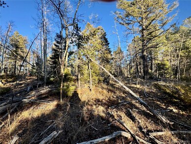 lot 5888 Loubier Rd, Fort Garland, CO 81133 - photo 2