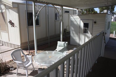 Patio and Shed
