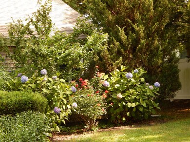 26 Vacation Ln, Harwich, MA 02645 - photo 5