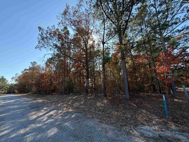 421 Easy St, Camden, SC 29020 - photo 7
