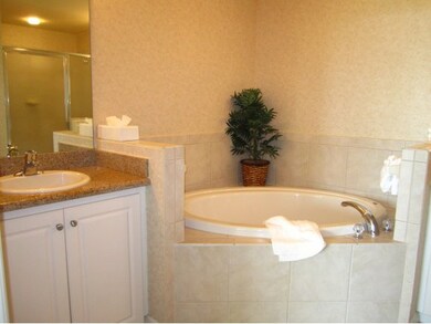 Master Tub and 2nd Sink