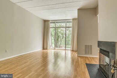 11564 Rolling Green Ct unit 101, Reston, VA 20191 - photo 6