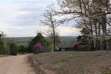 Neighbor's rooftop and view from contiguous lot to south
