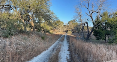 3520 & 3524 Comal Springs, Canyon Lake, TX 78133 - photo 6