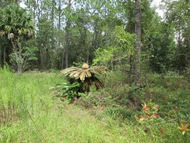 17265 SW 27 St, Dunnellon, FL 34432 - photo 7