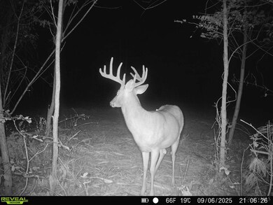 0 Mcguire Rd unit 1855109, Chillicothe, OH 45601 - photo 6