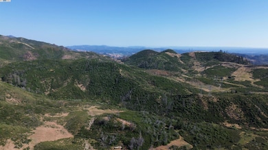 11311 Pine Flat Rd, Healdsburg, CA 95448 - photo 3