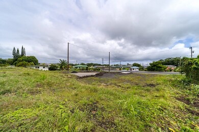 3405 Alohanani Place, Hilo, HI 96720 - photo 3