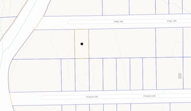 000 Pine Dr, New Caney, TX 77357 - photo 3