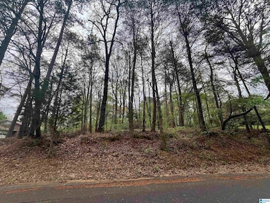 921 Pinehaven Dr unit 8, Bessemer, AL 35023 - photo 3