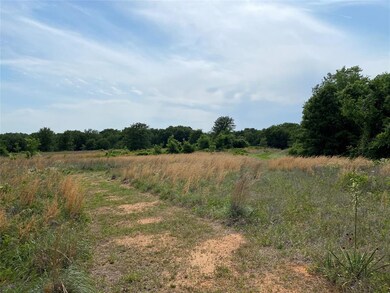 1105 County Road 807, Cleburne, TX 76031 - photo 5