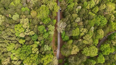 13-DJI_20250428105258_0081_D