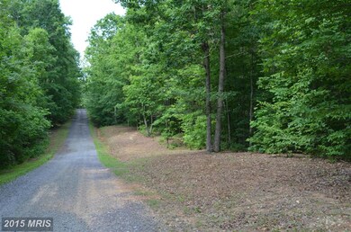 0 Bre Z Way Ln unit 1003061144, Lignum, VA 22726 - photo 2