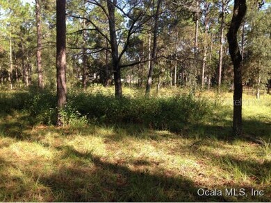 19061 SW 46th St, Dunnellon, FL 34432 - photo 7