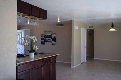 Large Open Kitchen