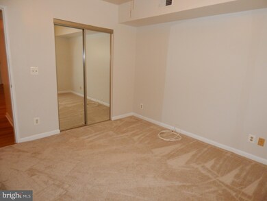 203 Skyhill Rd unit 6, Alexandria, VA 22314 - photo 7