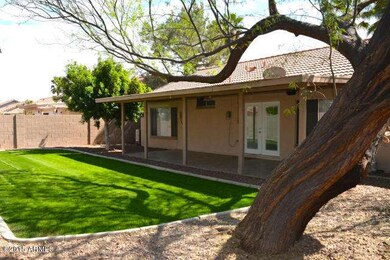 5 Back yard .jpg