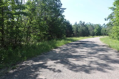 0 Laming Cir unit 201832921, Elmira, MI 49730 - photo 2