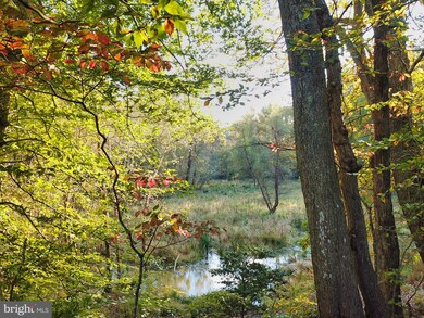 0 Aquia Creek Rd 58 70189 Ac, Stafford, VA 22554 - photo 6