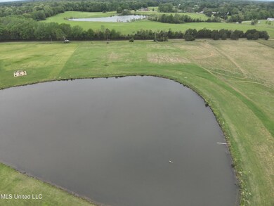 DJI_20250407081608_0007_V
