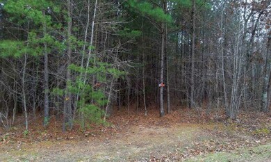 0 Woods Rd unit 1276957, Tunnel Hill, GA 30755 - photo 2
