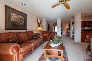 399 W Park Ave unit A1, Durango, CO 81301 - photo 6