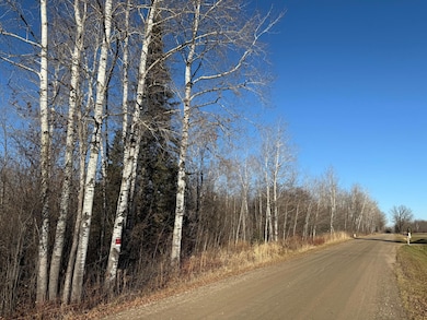 Parcel B Parameter Rd, Deer River, MN 56636 - photo 6