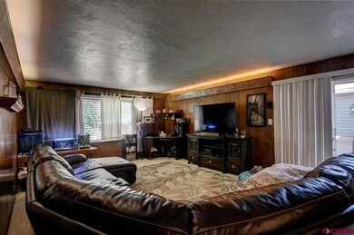 27 Bacus Ave, Durango, CO 81301 - photo 3