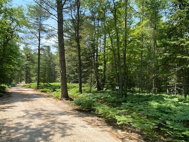 Lot 29 Third Creek Subdivision unit Lot 29, Paradise, MI 49768 - photo 2