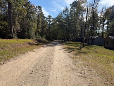 322 Nueces Dr, Trinity, TX 75862 - photo 6