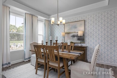 409 Grading Stick Ct, Angier, NC 27501 - photo 4