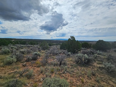 0 Lindrith Nm unit 1069027, Lindrith, NM 87029 - photo 6