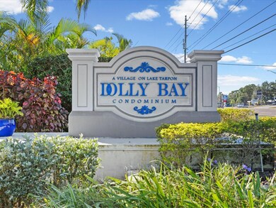 2577 Dolly Bay Dr unit 302, Palm Harbor, FL 34684 - photo 4