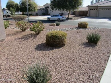 Front Landscaping