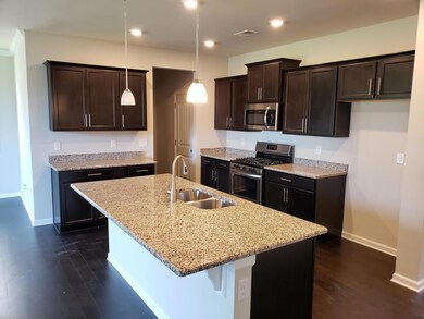 Granite counters, SS gas range