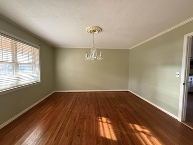 604 W Camellia Ave, Geneva, AL 36340 - photo 3