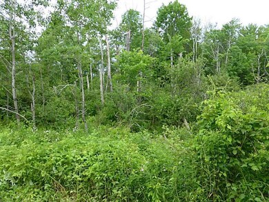Land/Lot.