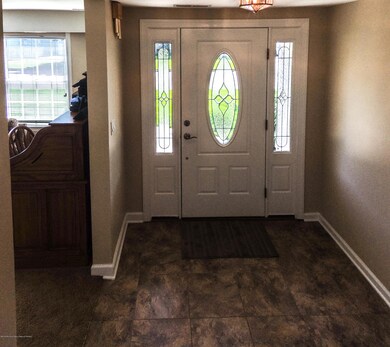 front door windows